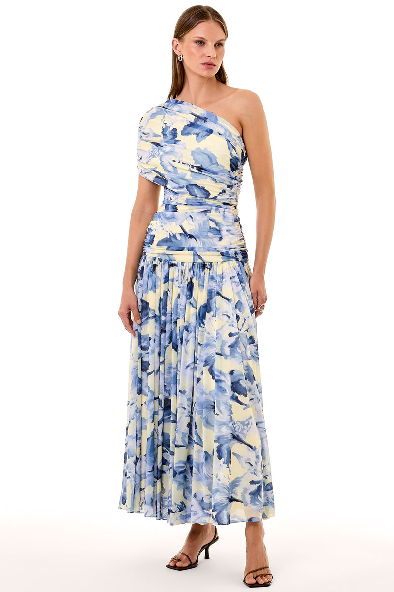 Gaia Dress - Luna Sky Wildflower